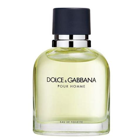 dolce gabbana pour homme best price